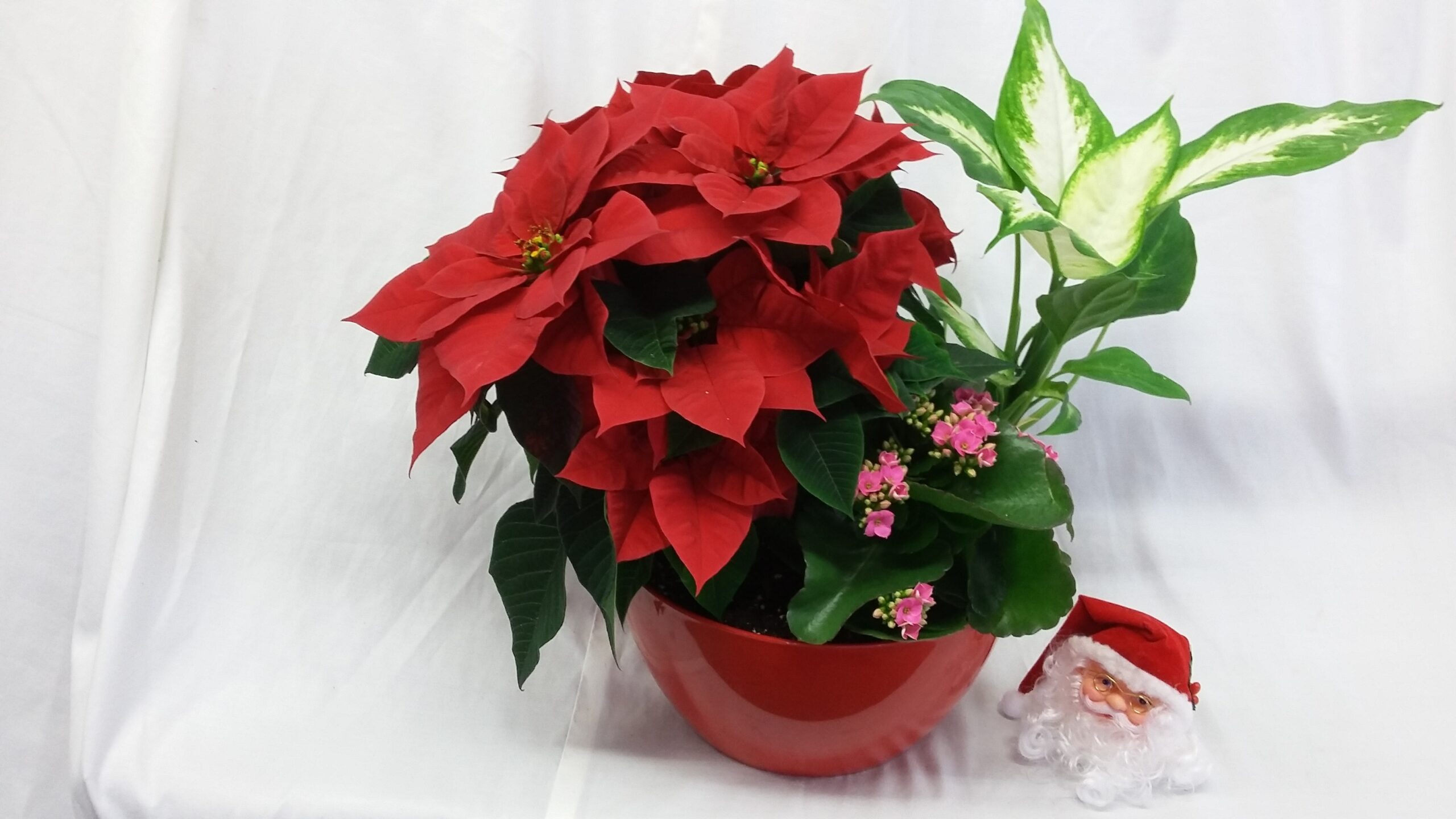 Joyeux temps des fêtes