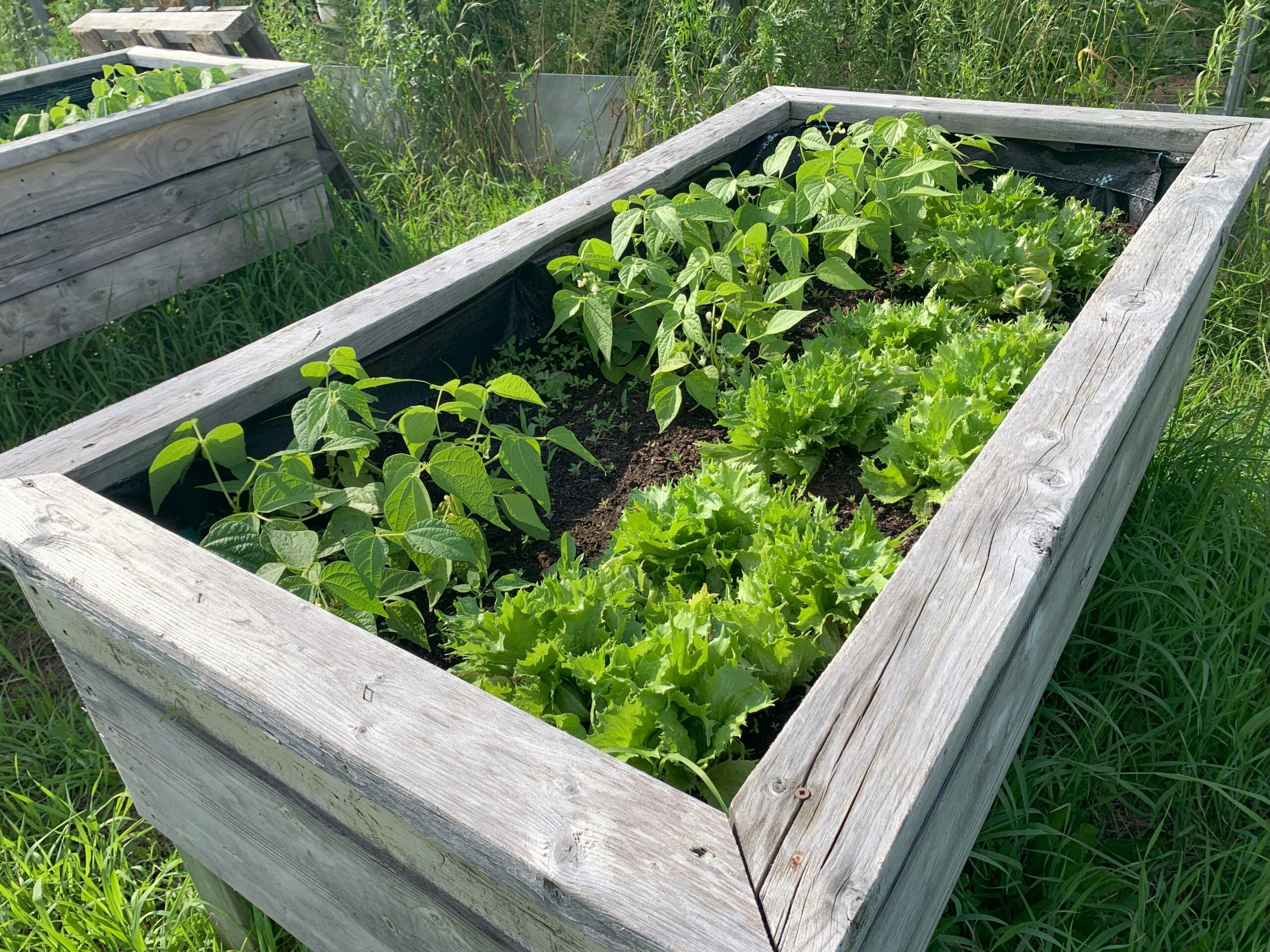 Le Jardinage au bout des doigts