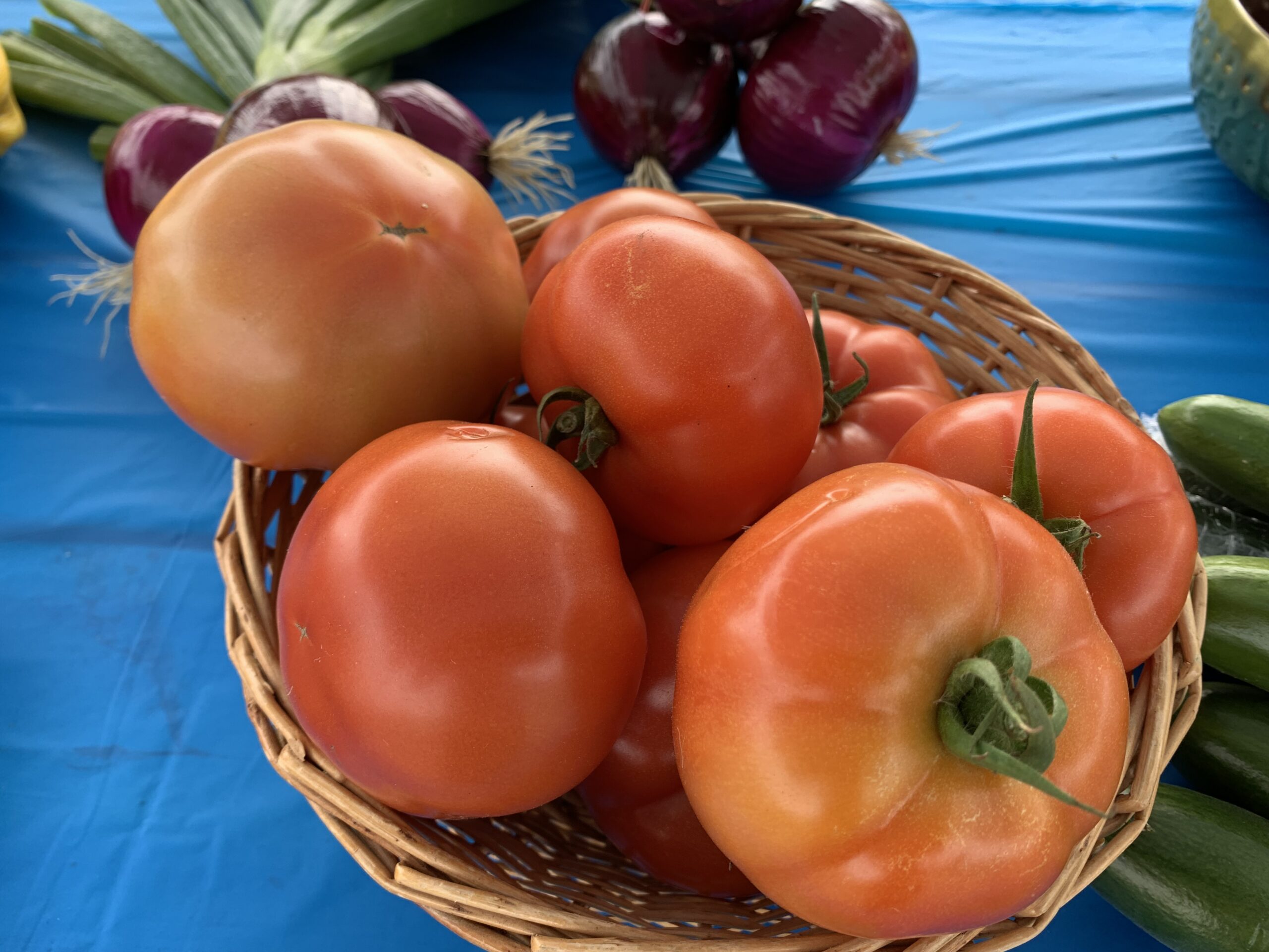 Plus de 2 tonnes de légumes pour l’Atelier agricole en 2025!