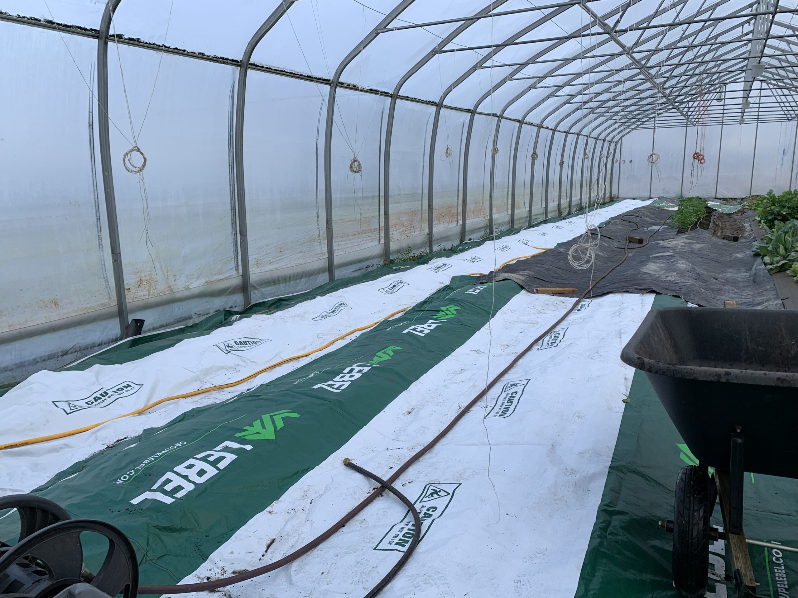 Les jardins collectifs : une réussite partagée